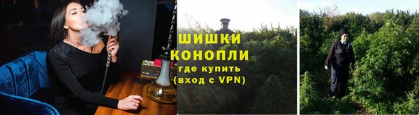 спиды Белокуриха