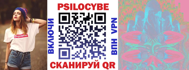 кракен маркетплейс  где можно купить   Ельня  Галлюциногенные грибы MAGIC MUSHROOMS 