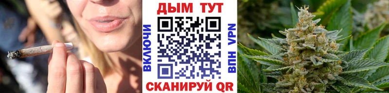 Бошки Шишки план  Ельня 